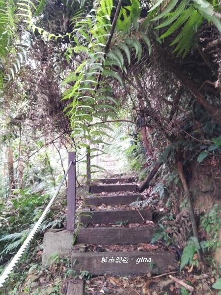 20180923_180923_0070.jpg 20180923_180923_0070.jpg