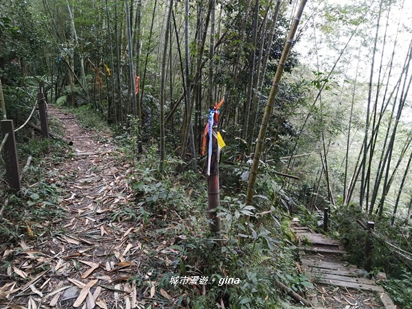 20180923_180923_0074.jpg 20180923_180923_0074.jpg