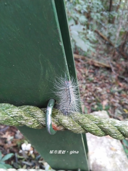 20180923_180923_0080.jpg 20180923_180923_0080.jpg