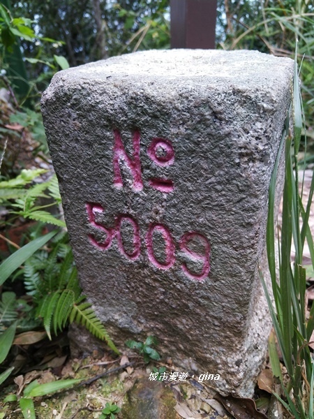 20180923_180923_0110.jpg 20180923_180923_0110.jpg