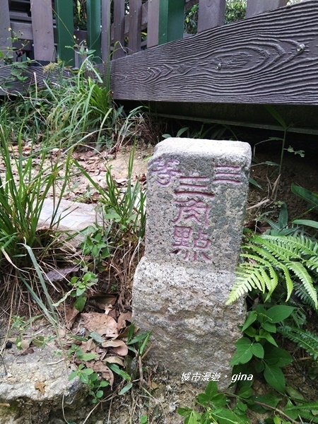 20180923_180923_0109.jpg 20180923_180923_0109.jpg