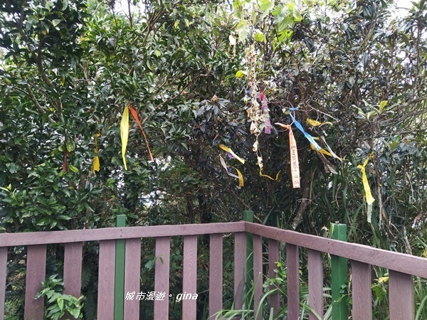 20180923_180923_0116.jpg 20180923_180923_0116.jpg