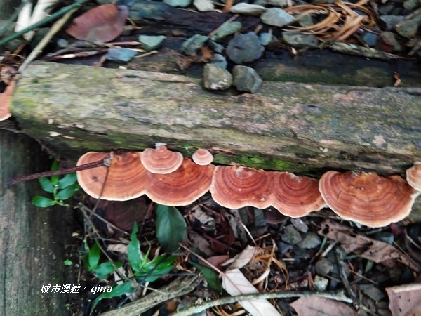 20180923_180923_0121.jpg 20180923_180923_0121.jpg