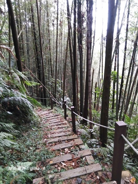 20180923_180923_0122.jpg 20180923_180923_0122.jpg