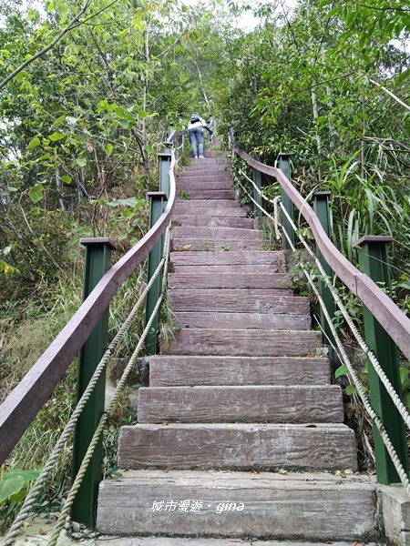 20180923_180923_0123.jpg 20180923_180923_0123.jpg