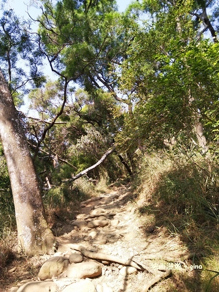 IMG_20181021_092405.jpg IMG_20181021_092405.jpg