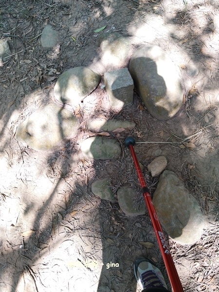 IMG_20181021_092951.jpg IMG_20181021_092951.jpg