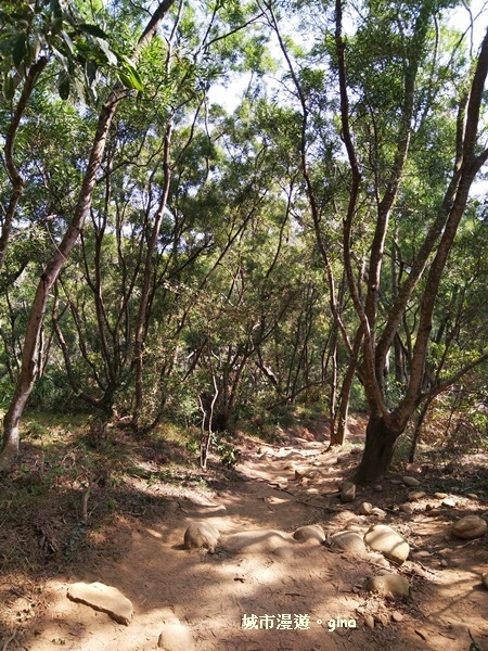 IMG_20181021_094100.jpg IMG_20181021_094100.jpg