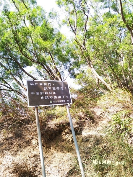 IMG_20181021_094134.jpg IMG_20181021_094134.jpg