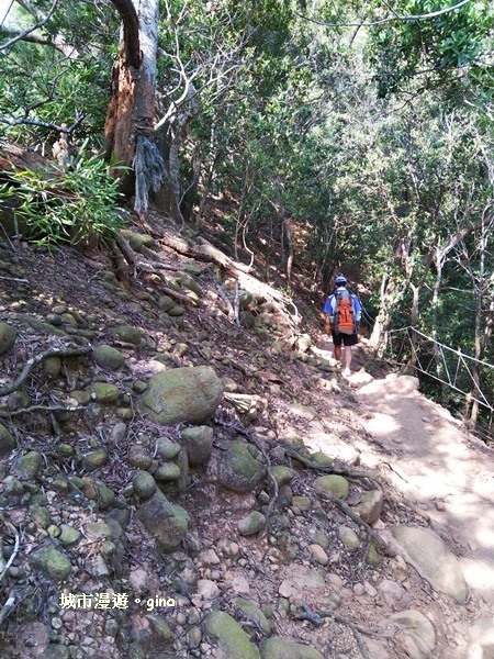 IMG_20181021_094812.jpg IMG_20181021_094812.jpg