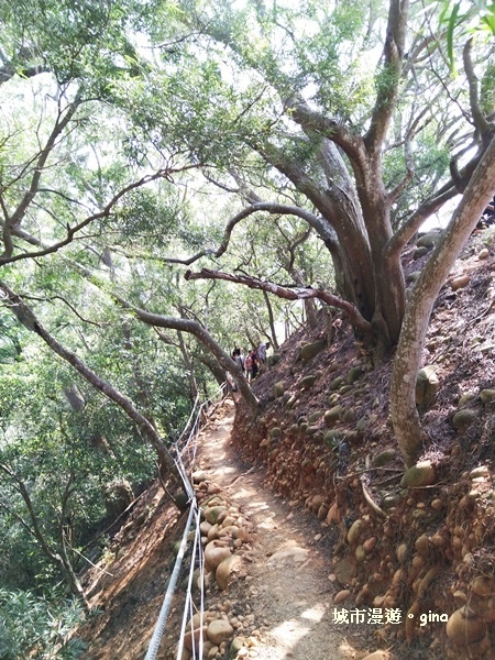 IMG_20181021_095447.jpg IMG_20181021_095447.jpg