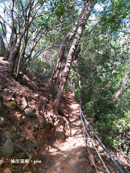 IMG_20181021_095815.jpg IMG_20181021_095815.jpg