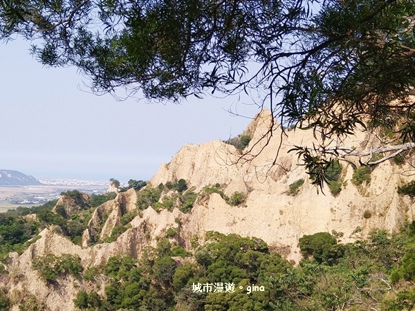 IMG_20181021_100105.jpg IMG_20181021_100105.jpg