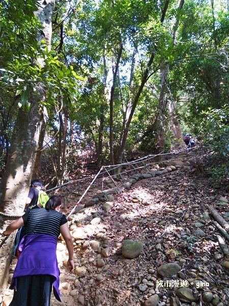 IMG_20181021_100437.jpg IMG_20181021_100437.jpg