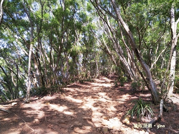 IMG_20181021_101153.jpg IMG_20181021_101153.jpg