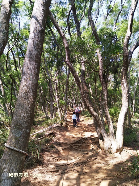 IMG_20181021_102833.jpg IMG_20181021_102833.jpg