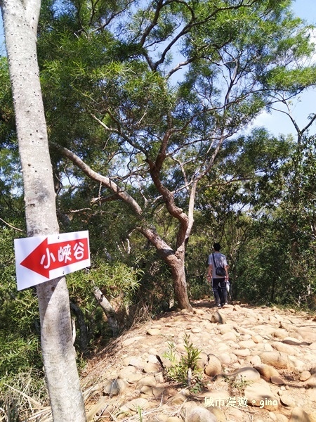 IMG_20181021_105205.jpg IMG_20181021_105205.jpg