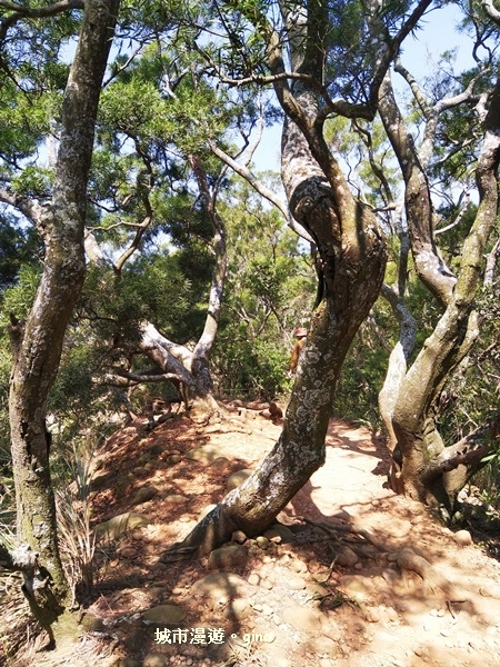 IMG_20181021_105558.jpg IMG_20181021_105558.jpg