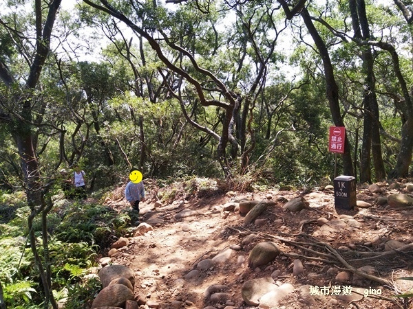 IMG_20181021_110421.jpg IMG_20181021_110421.jpg