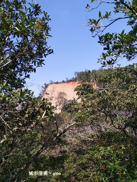 IMG_20181021_112029.jpg IMG_20181021_112029.jpg