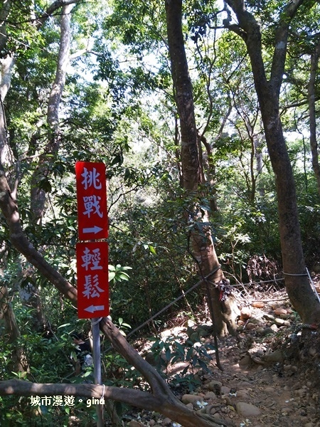 IMG_20181021_112229.jpg IMG_20181021_112229.jpg