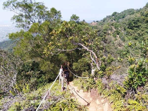 IMG_20181021_115010.jpg IMG_20181021_115010.jpg