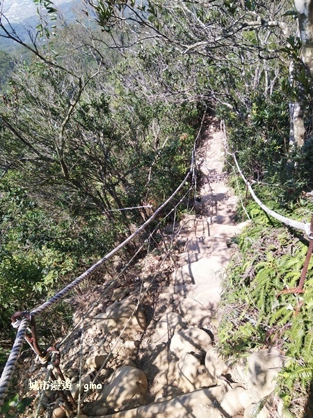 IMG_20181021_115647.jpg IMG_20181021_115647.jpg