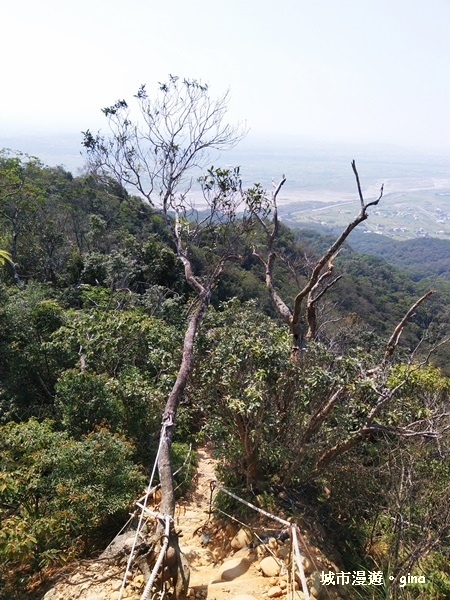 IMG_20181021_120719.jpg IMG_20181021_120719.jpg