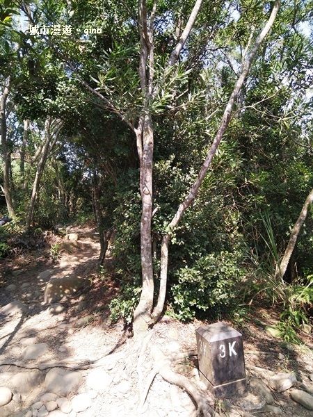 IMG_20181021_124844.jpg IMG_20181021_124844.jpg