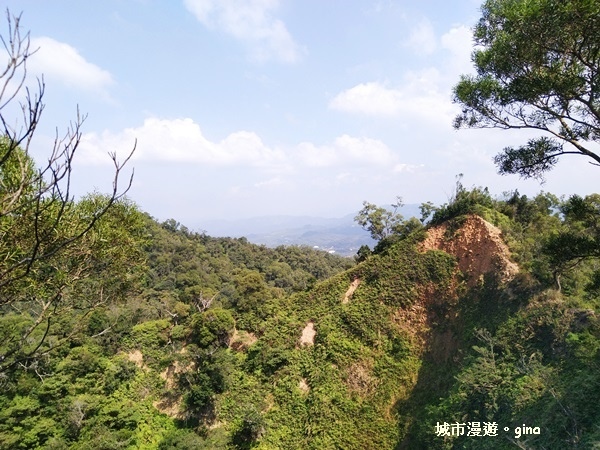 IMG_20181021_131121.jpg IMG_20181021_131121.jpg