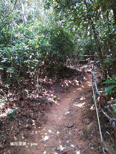 IMG_20181021_132515.jpg IMG_20181021_132515.jpg