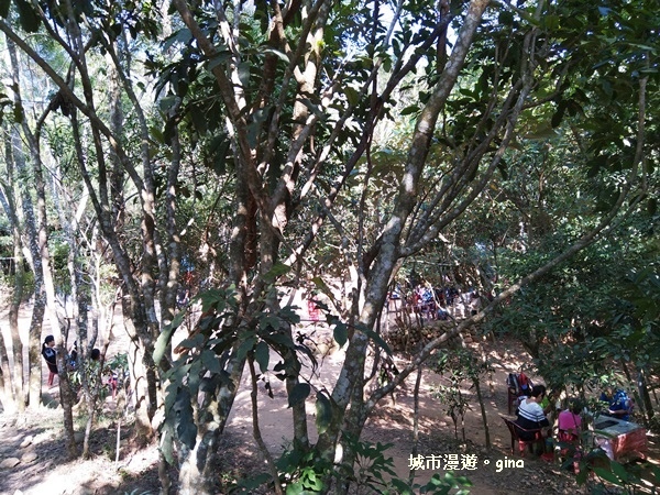 IMG_20181021_135915.jpg IMG_20181021_135915.jpg