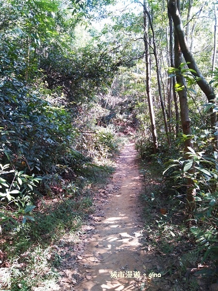 IMG_20181021_141007.jpg IMG_20181021_141007.jpg