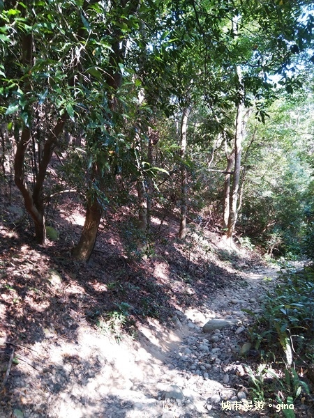 IMG_20181021_142211.jpg IMG_20181021_142211.jpg