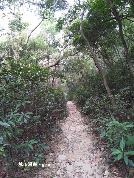 IMG_20181021_143402.jpg IMG_20181021_143402.jpg