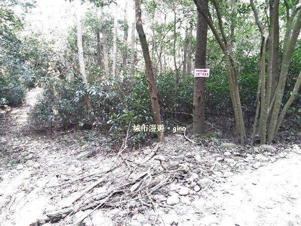 IMG_20181021_144103.jpg IMG_20181021_144103.jpg