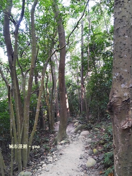 IMG_20181021_144110.jpg IMG_20181021_144110.jpg