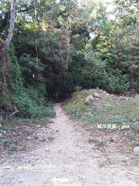 IMG_20181021_150153.jpg IMG_20181021_150153.jpg