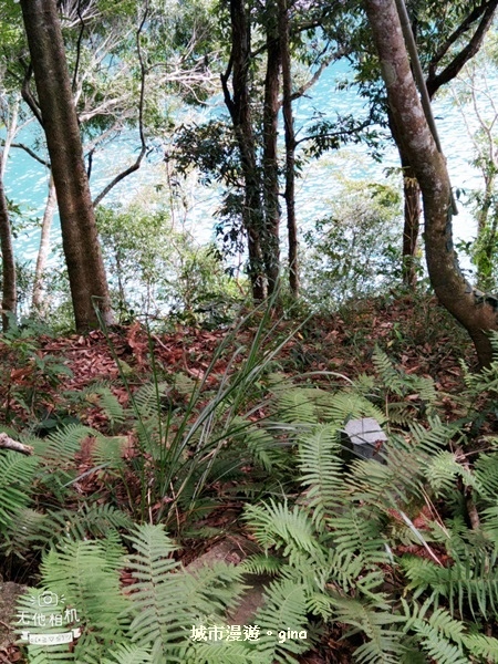 IMG_20181103_140034.jpg IMG_20181103_140034.jpg