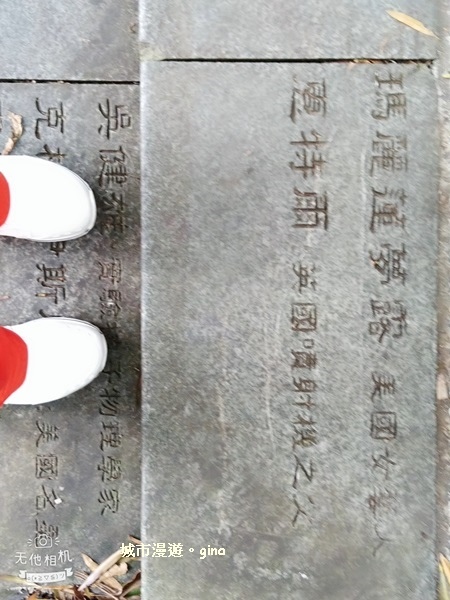 WuTa_2018-11-03_14-12-06.jpg WuTa_2018-11-03_14-12-06.jpg