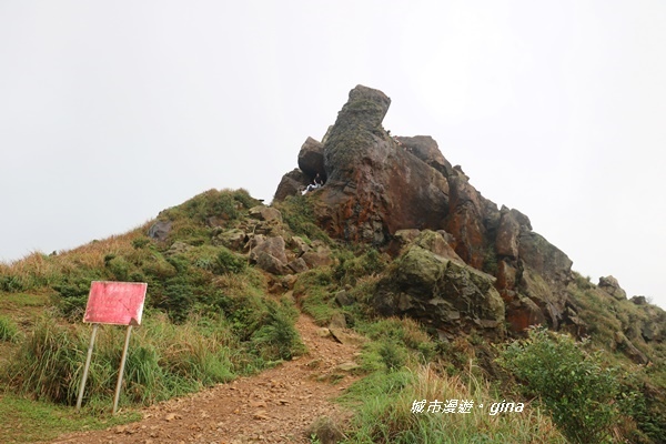 IMG_20181110_133310.JPG IMG_20181110_133310.JPG