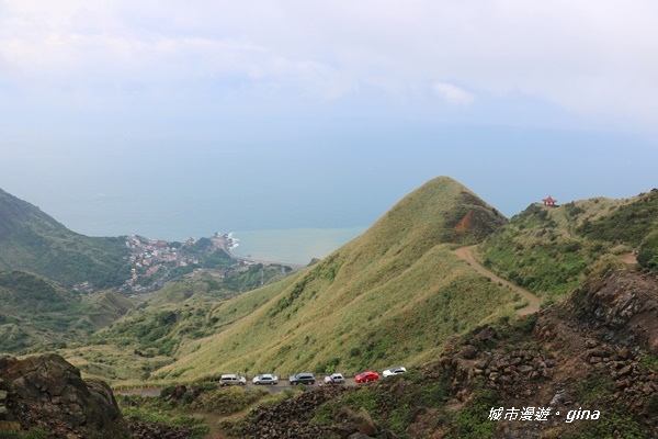 IMG_20181110_133313.JPG IMG_20181110_133313.JPG