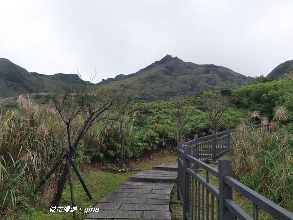 IMG_20181110_143610.jpg IMG_20181110_143610.jpg