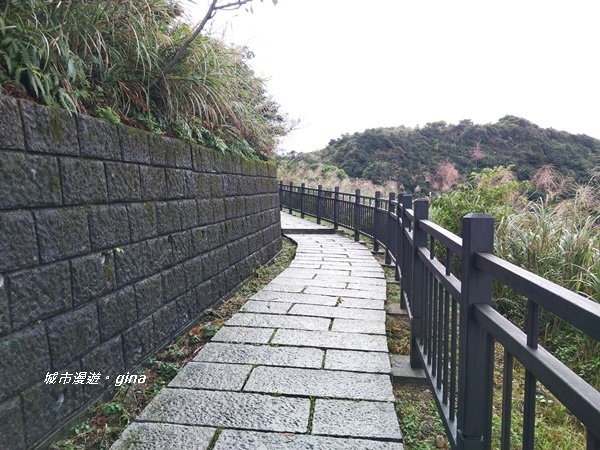 IMG_20181110_143654.jpg IMG_20181110_143654.jpg