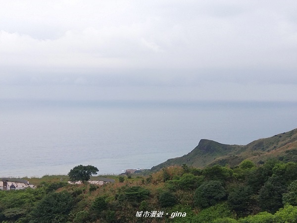 IMG_20181110_143918.jpg IMG_20181110_143918.jpg