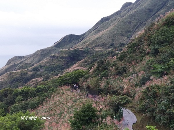 IMG_20181110_143923.jpg IMG_20181110_143923.jpg