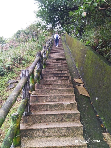 IMG_20181110_144025.jpg IMG_20181110_144025.jpg