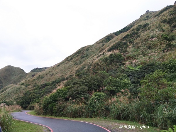 IMG_20181110_145038.jpg IMG_20181110_145038.jpg