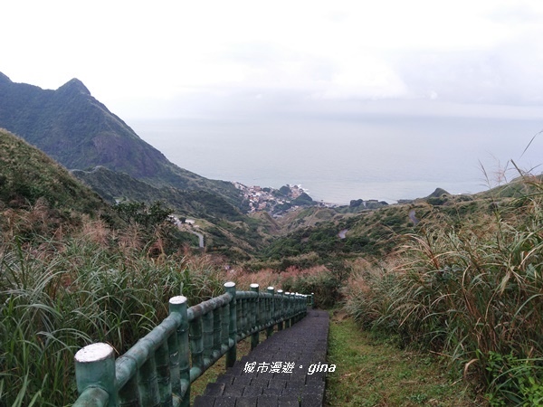 IMG_20181110_145648.jpg IMG_20181110_145648.jpg