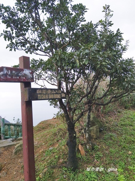 IMG_20181110_145848.jpg IMG_20181110_145848.jpg